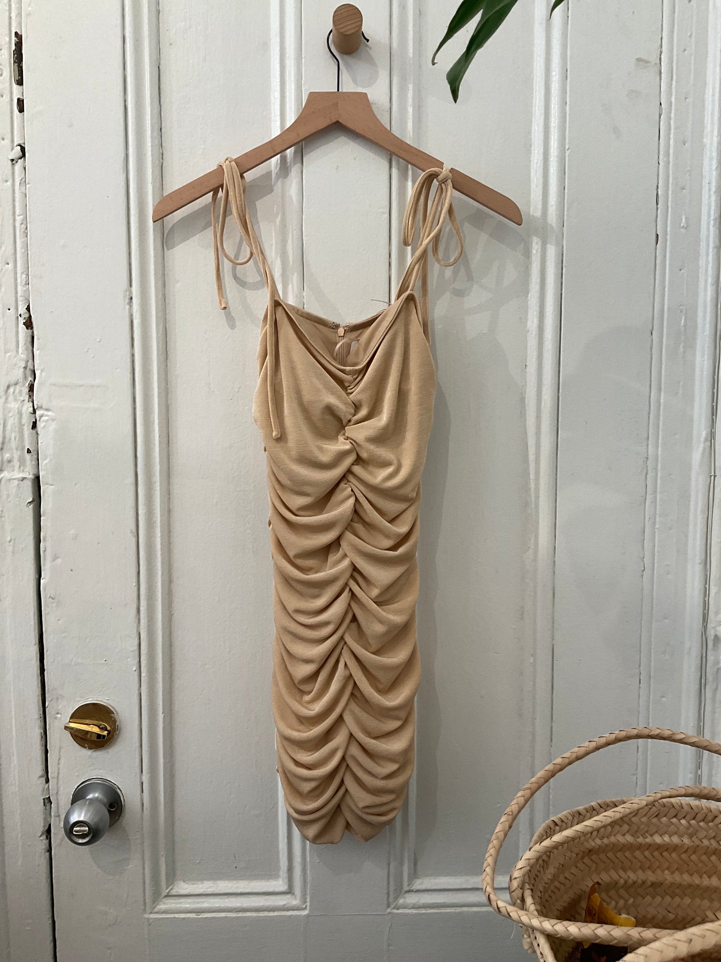 The Nude Dress